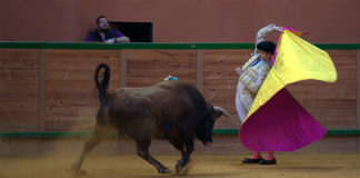 Ginés Marín durante su actuación de esta tarde en Arnedo (FOTO:Poyatos)
