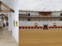 Pasillo de acceso e interior de la plaza de Mérida (FOTO: Gallardo)