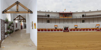 Pasillo de acceso e interior de la plaza de Mérida (FOTO: Gallardo)