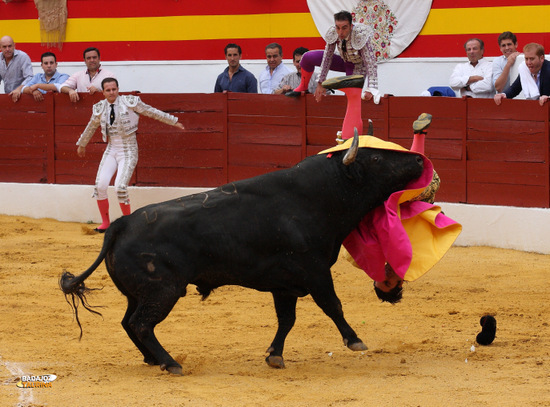 Morante de la Puebla