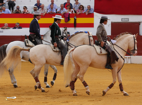 Los rejoneadores haciendo el paseíllo