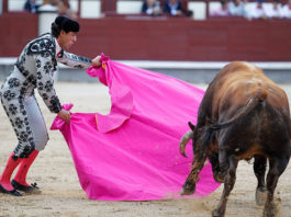 Fernando González en una imagen de archivo (FOTO: Juan Pelegrín)