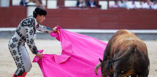 Fernando González en una imagen de archivo (FOTO: Juan Pelegrín)