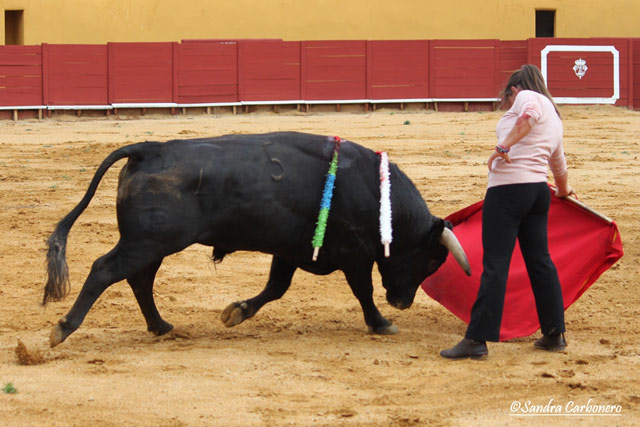 María del Mar Santos toreando sobre el pitón derecho