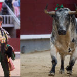 Manuel Escribano y el toro Agitador, premiados en Villanueva de la Serena (FOTOS: Las-Ventas.com)