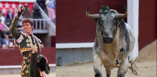 Manuel Escribano y el toro Agitador, premiados en Villanueva de la Serena (FOTOS: Las-Ventas.com)