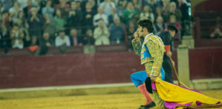 Talavante besa la arena de Zaragoza tras dar la vuelta al ruedo sin oreja (FOTO: Toros Zaragoza)