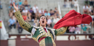 Miguel Ángel Silva en Las Ventas (FOTO: Juan Pelegrín)