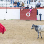 final-curso1215