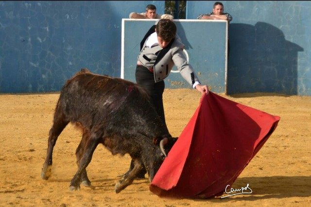 Tulio Salguero (FOTO: Campos)