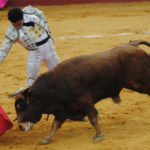 García Corbacho muleteando al eral que le tocó en Alcalá del Río