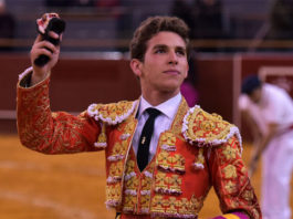Ginés Marín paseando la oreja en Vistalegre (FOTO: Julián López)