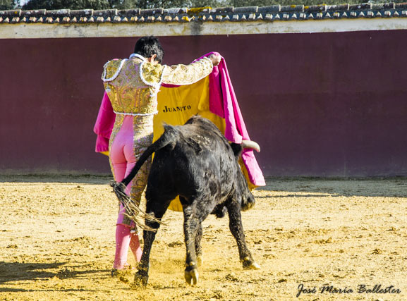 Juanito en la ganadería de José Luis Marca