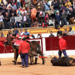 El merecido premio a un hierro renacido (FOTO:Gallardo)