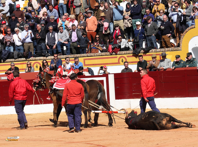 El merecido premio a un hierro renacido (FOTO:Gallardo)