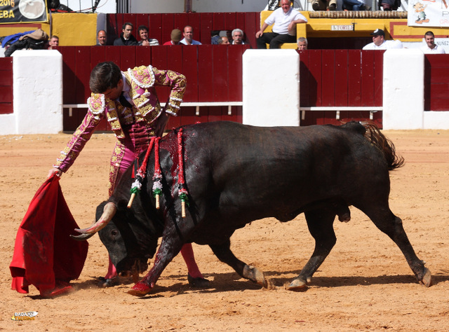 José Garrido