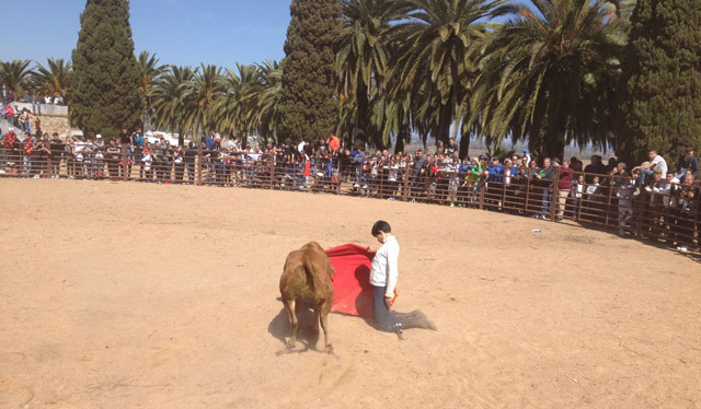 El público disfrutó con el festejo