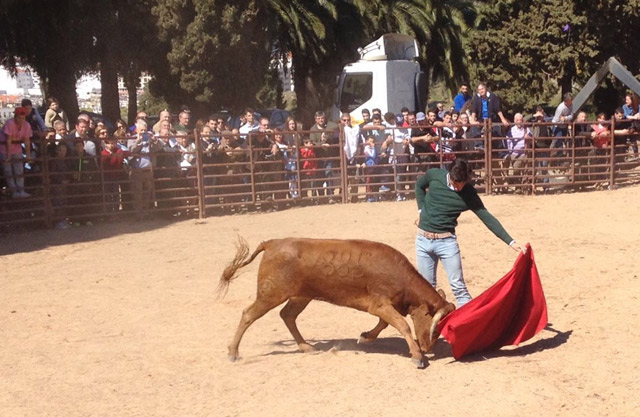 Excelente natural a una vaca de Bernardino Píriz