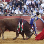 talasevilla16