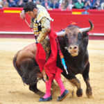Alejandro Talavante en su comparecencia en Fallas (FOTO:Alberto de Jesús)