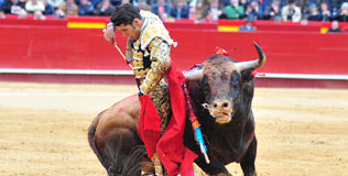 Alejandro Talavante en su comparecencia en Fallas (FOTO:Alberto de Jesús)