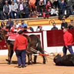 Vuelta al ruedo a Anaranjado de Cuvillo (FOTO: Gallardo)