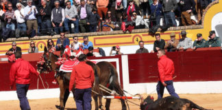 Vuelta al ruedo a Anaranjado de Cuvillo (FOTO: Gallardo)