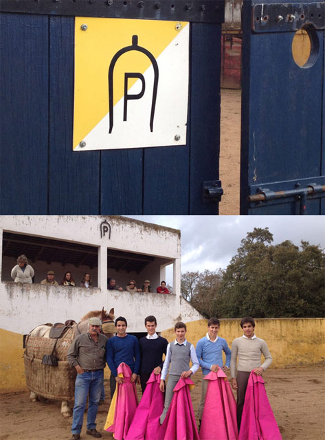 Los cinco alumnos de la Escuela Taurina de Badajoz que tentaron junto con los alumnos de la Escuela de Moita en la ganadería de Joaquim Brito Paes