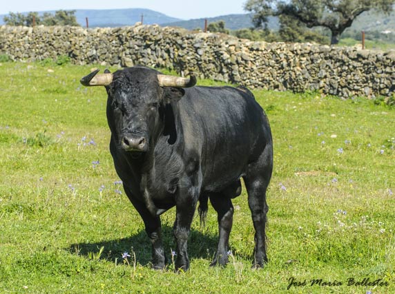 Lo que en el argot se llama un 'zapato'