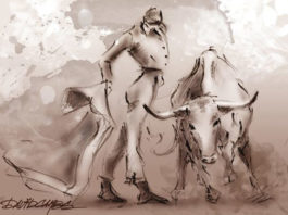 Dibujo de David Campos