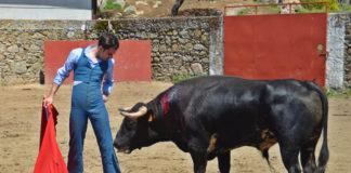 Fernando Flores en Torregrande