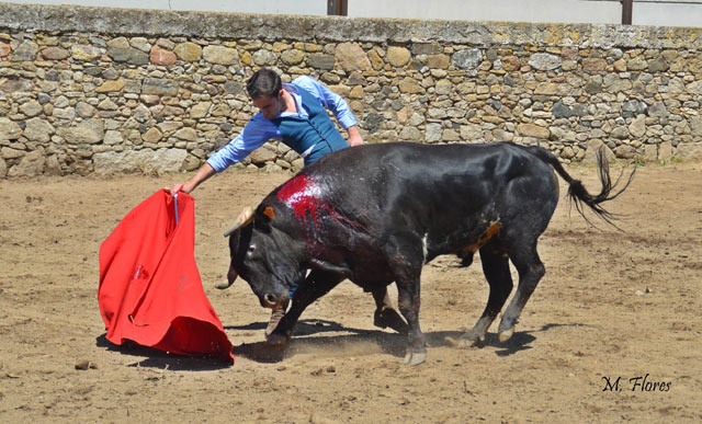 Fernando Flores en Torregrande