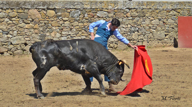 Fernando Flores en Torregrande