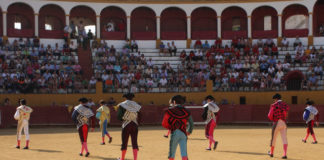 Paseíllo en la plaza de toros de Jerez de los Caballeros (FOTO:Gallardo)