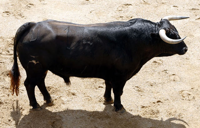 Nº 14 - Malasombra - El Parralejo