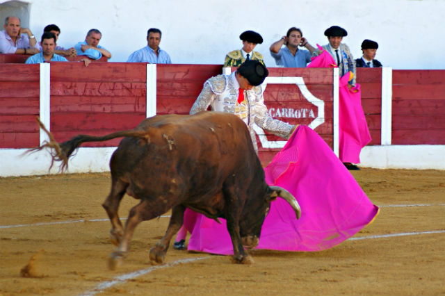 Luis Manuel Terrón en la novillada de Barcarrota 