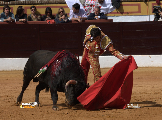 Luis Manuel Terrón el día de su debut en Olivenza