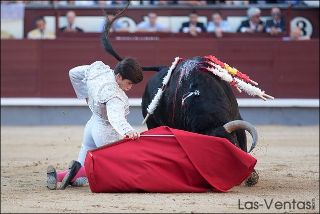 José Garrido toreando de rodillas en los medios al toro de su confirmación (FOTO: Juan Pelegrín)