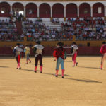 01-01-img_7516-001_20130825