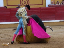 Ginés Marín