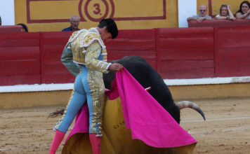 Ginés Marín