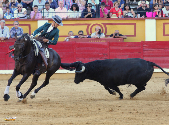 Lea Vicens