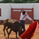 tcignaciopereletegui