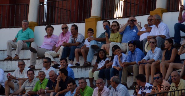 Antonio Muñoz siguiendo el juego de los novillos de su casa