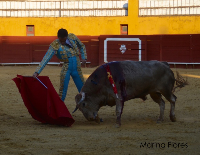 Fernando Flores