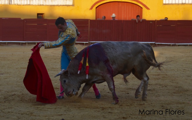 Fernando Flores