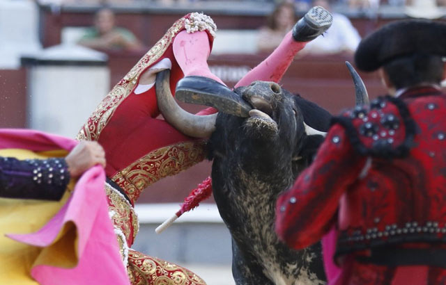 Momento en el que es corneado (FOTO:Juan Pelegrín)