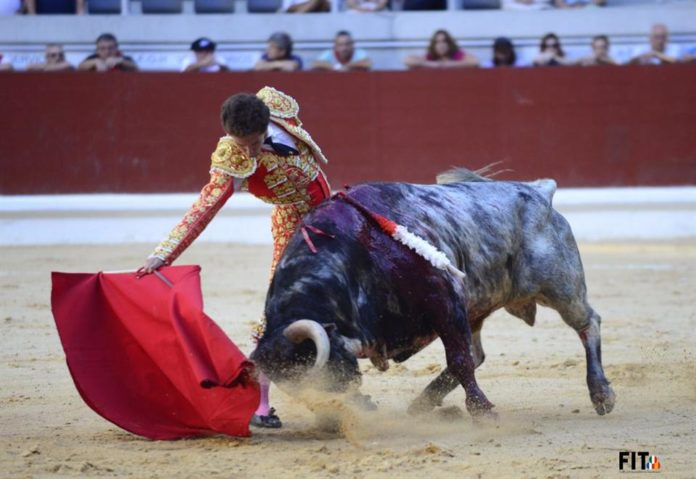 Ginés Marín durante su actuación en la feria de Vitoria. (FOTO:Eduardo del Campo)