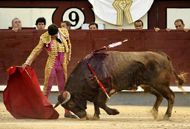 Tulio Salguero en Las Ventas. Foto:Joël Buravand