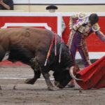 manudealba161